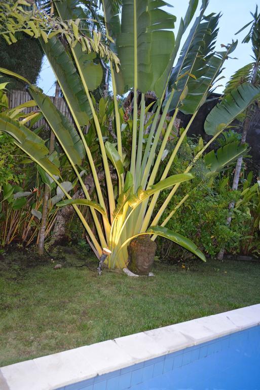Villa Raquel Seminyak  Bilik gambar